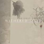 The Lust I Seek : The Withered Ones
